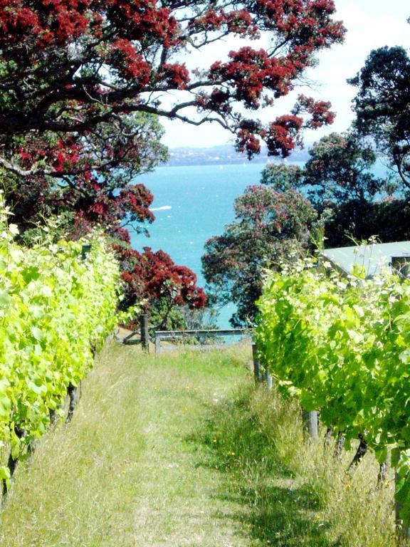 Waiheke Island Vineyard Holiday Houses Surfdale Εξωτερικό φωτογραφία